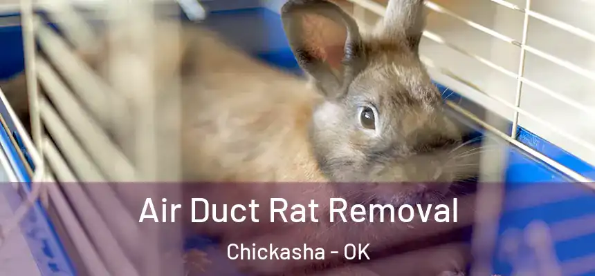 Air Duct Rat Removal Chickasha - OK