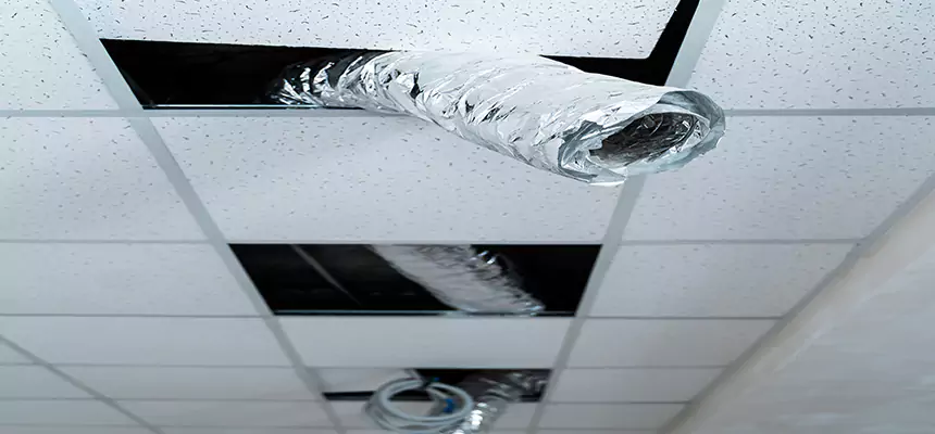 Our Air Duct Pet Hair Removal Services in Chickasha, OK