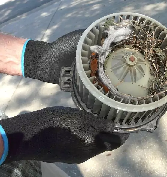 About Air Duct Mice Removal in Chickasha, OK